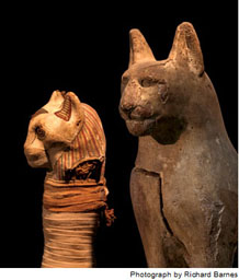 A Cat Mummy wrapping and coffin - Cairo Museum